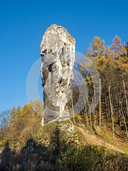 Limestone monadnock Maczuga Herkuklesa near Cracow, Poland photo